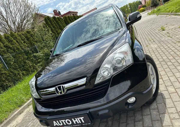 honda Honda CR-V cena 43900 przebieg: 179000, rok produkcji 2009 z Chojna